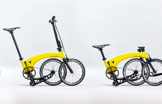 the hummingbird bike